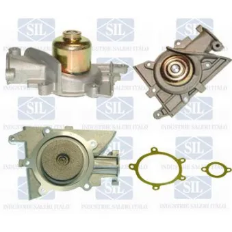 Pompe à eau Saleri SIL PA484P