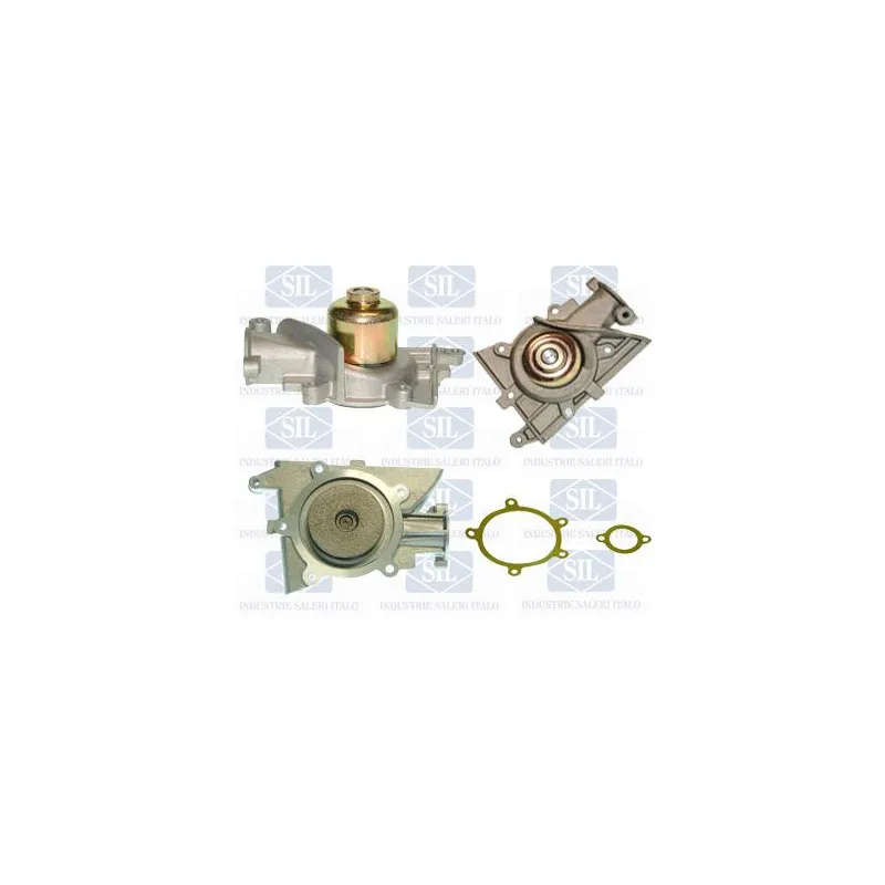 Pompe à eau Saleri SIL PA484P