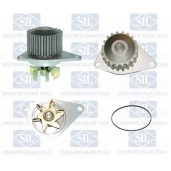 Pompe à eau Saleri SIL PA511P