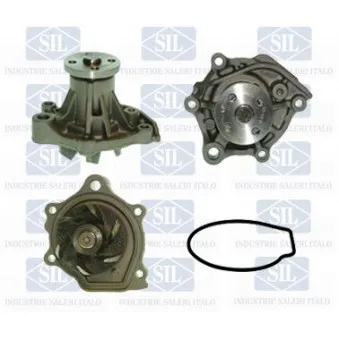 Pompe à eau Saleri SIL PA517