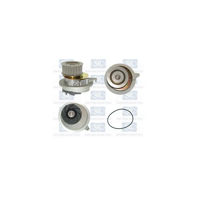 Pompe à eau Saleri SIL PA524P
