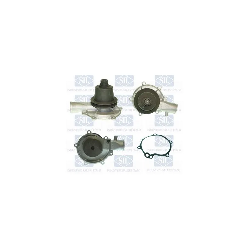 Pompe à eau Saleri SIL PA578P