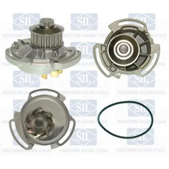 Pompe à eau Saleri SIL PA589P