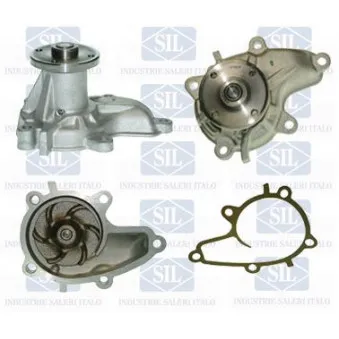 Pompe à eau Saleri SIL PA609