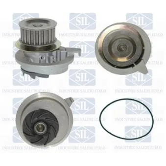 Pompe à eau Saleri SIL PA624P