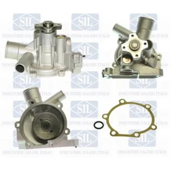 Pompe à eau Saleri SIL PA650