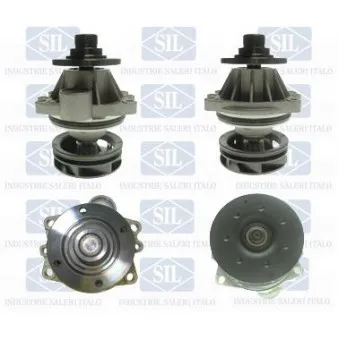 Pompe à eau Saleri SIL PA659S