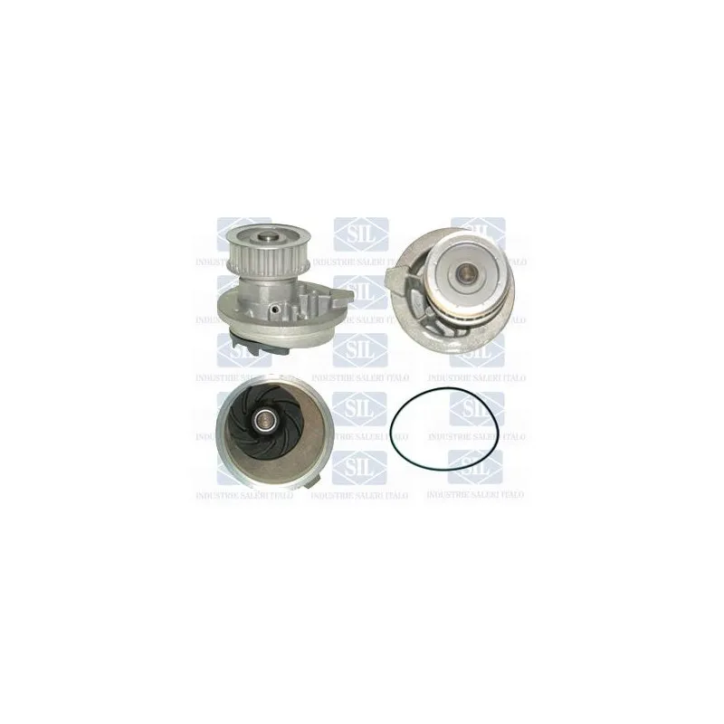 Pompe à eau Saleri SIL PA709P