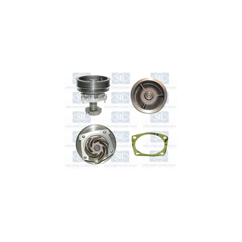 Pompe à eau Saleri SIL PA719P