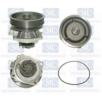 Pompe à eau Saleri SIL PA732P