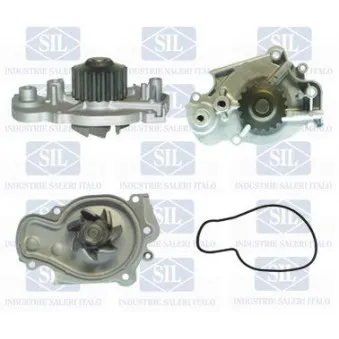 Pompe à eau Saleri SIL PA738P
