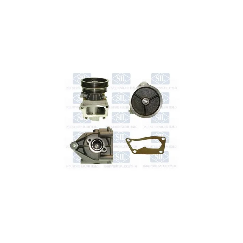 Pompe à eau Saleri SIL PA825