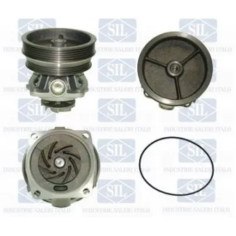 Pompe à eau Saleri SIL PA826