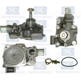 Pompe à eau Saleri SIL PA844