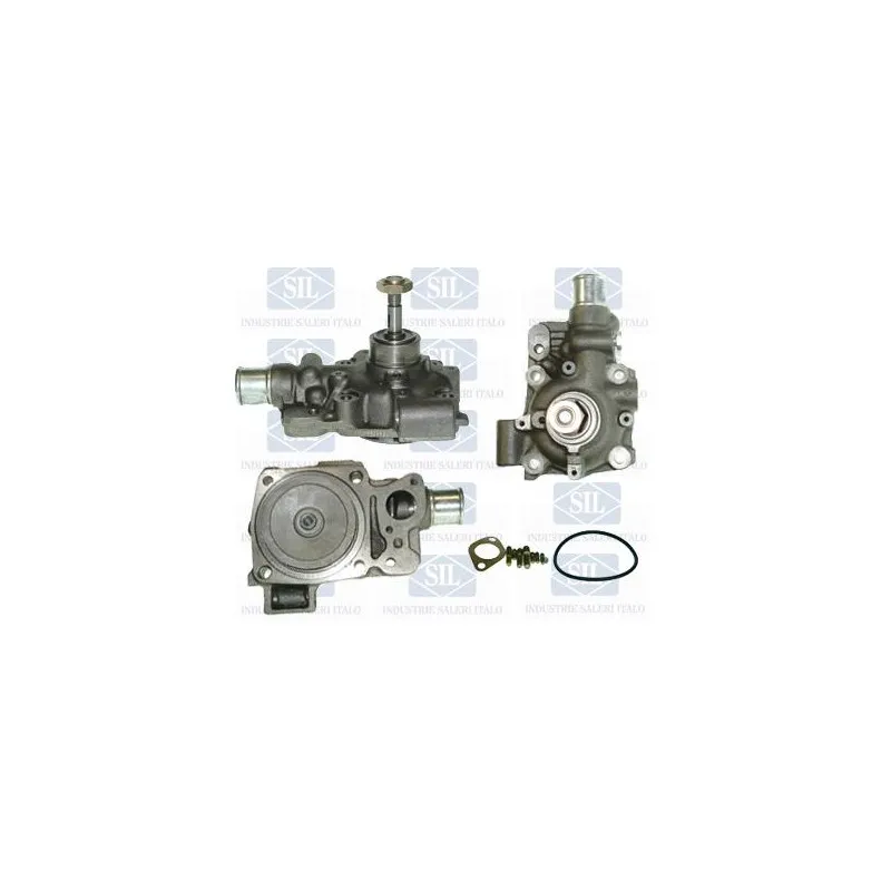 Pompe à eau Saleri SIL PA844