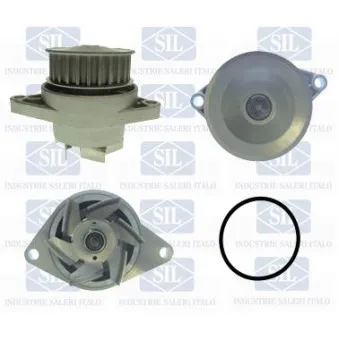 Pompe à eau Saleri SIL PA846A