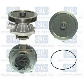 Pompe à eau Saleri SIL PA855