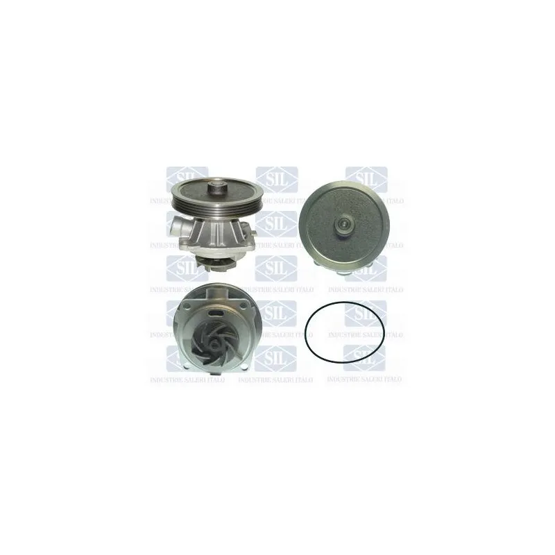 Pompe à eau Saleri SIL PA855