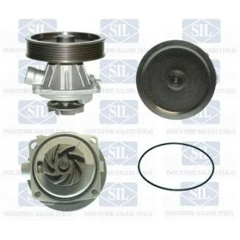 Pompe à eau Saleri SIL PA859