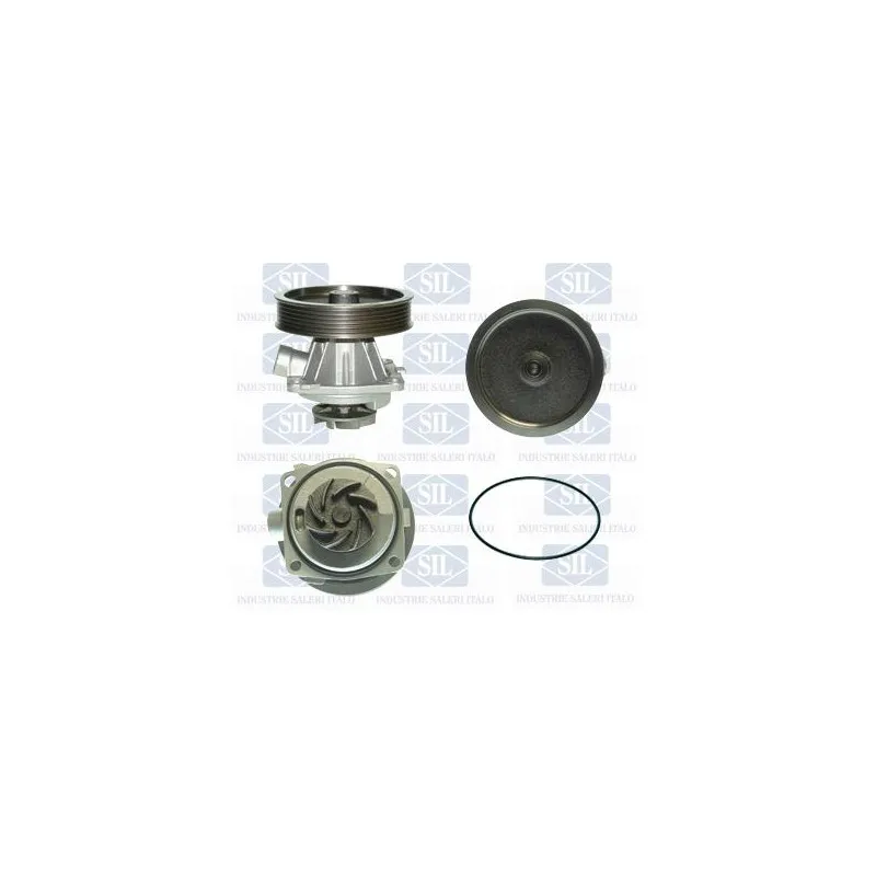 Pompe à eau Saleri SIL PA859