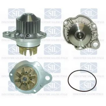 Pompe à eau Saleri SIL PA870