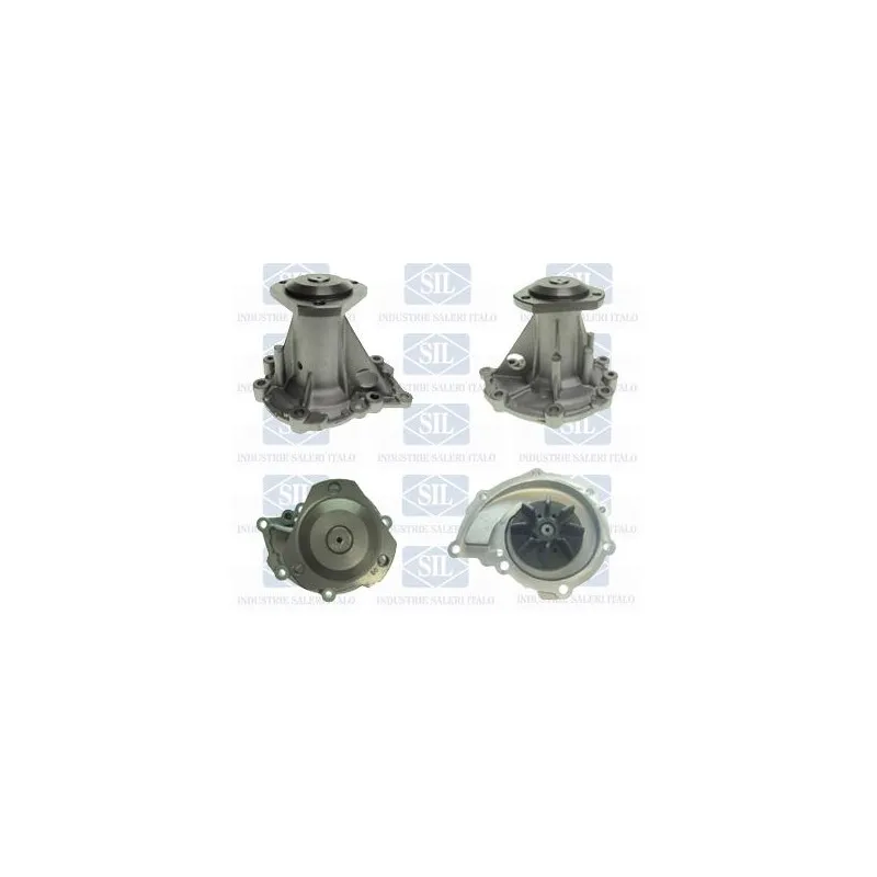 Pompe à eau Saleri SIL PA880