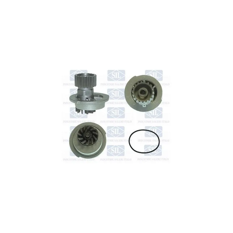 Pompe à eau Saleri SIL PA928
