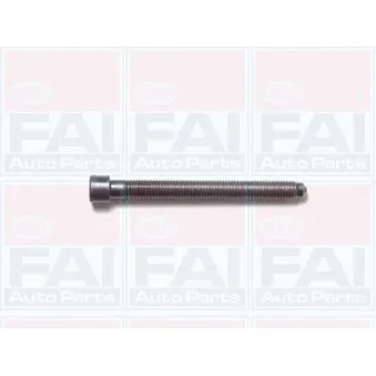 Jeu de boulons de culasse de cylindre FAI AutoParts B1006