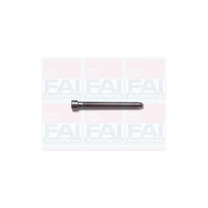 Jeu de boulons de culasse de cylindre FAI AutoParts B1006