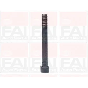 Jeu de boulons de culasse de cylindre FAI AutoParts B1046