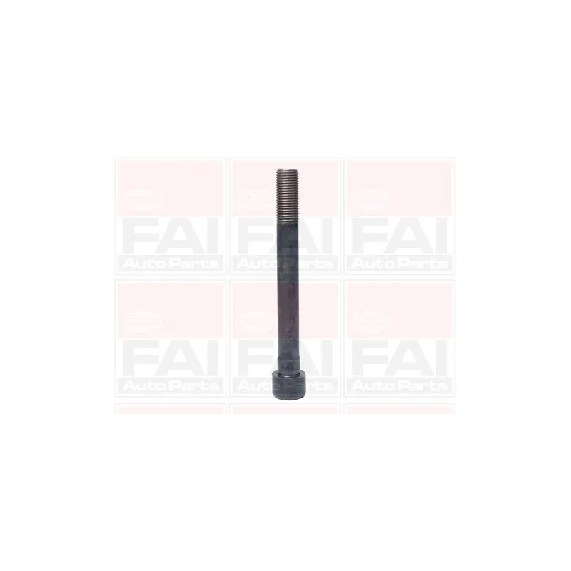Jeu de boulons de culasse de cylindre FAI AutoParts B1046