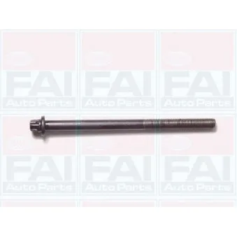 Jeu de boulons de culasse de cylindre FAI AutoParts B1050