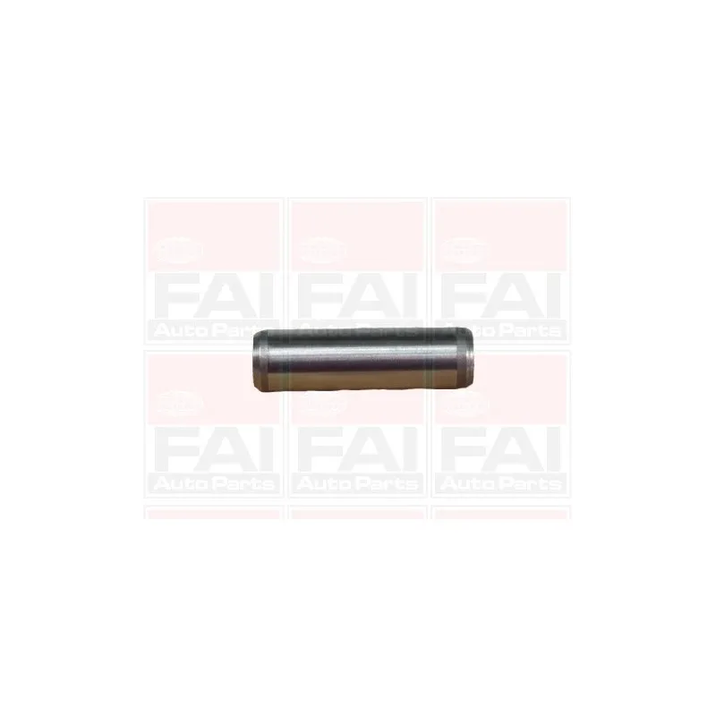 Guide de soupape FAI AutoParts BFG125