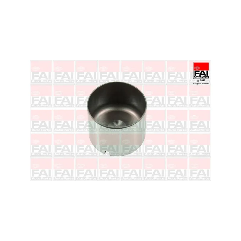 Poussoir de soupape FAI AutoParts BFS100