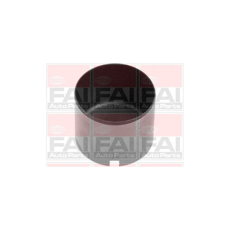 Poussoir de soupape FAI AutoParts BFS125