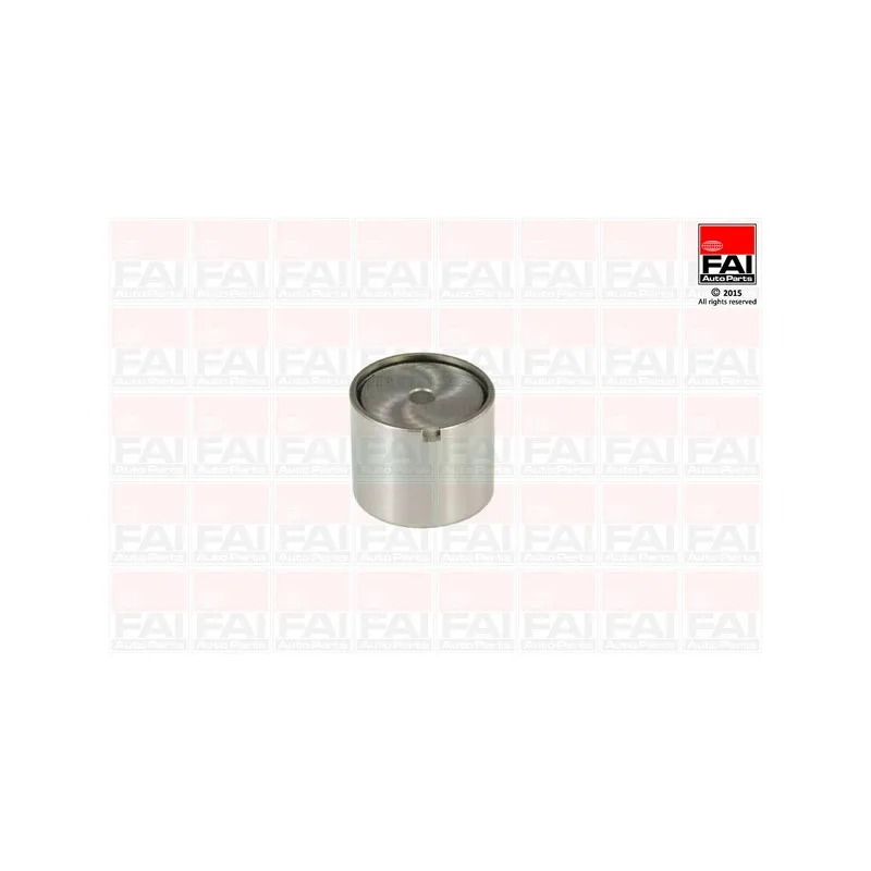 Poussoir de soupape FAI AutoParts BFS181S