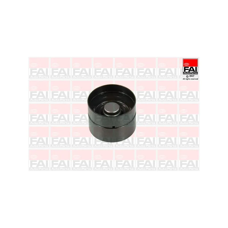 Poussoir de soupape FAI AutoParts BFS318