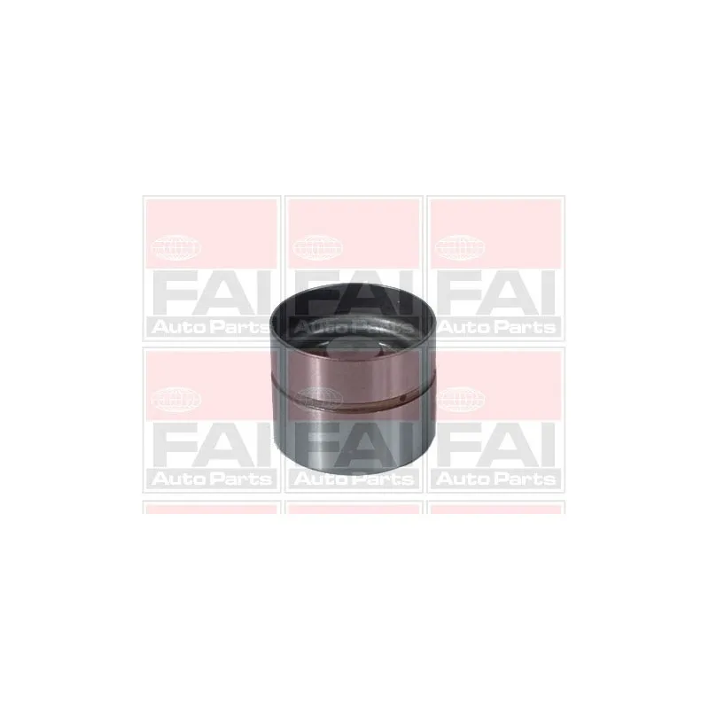 Poussoir de soupape FAI AutoParts BFS77