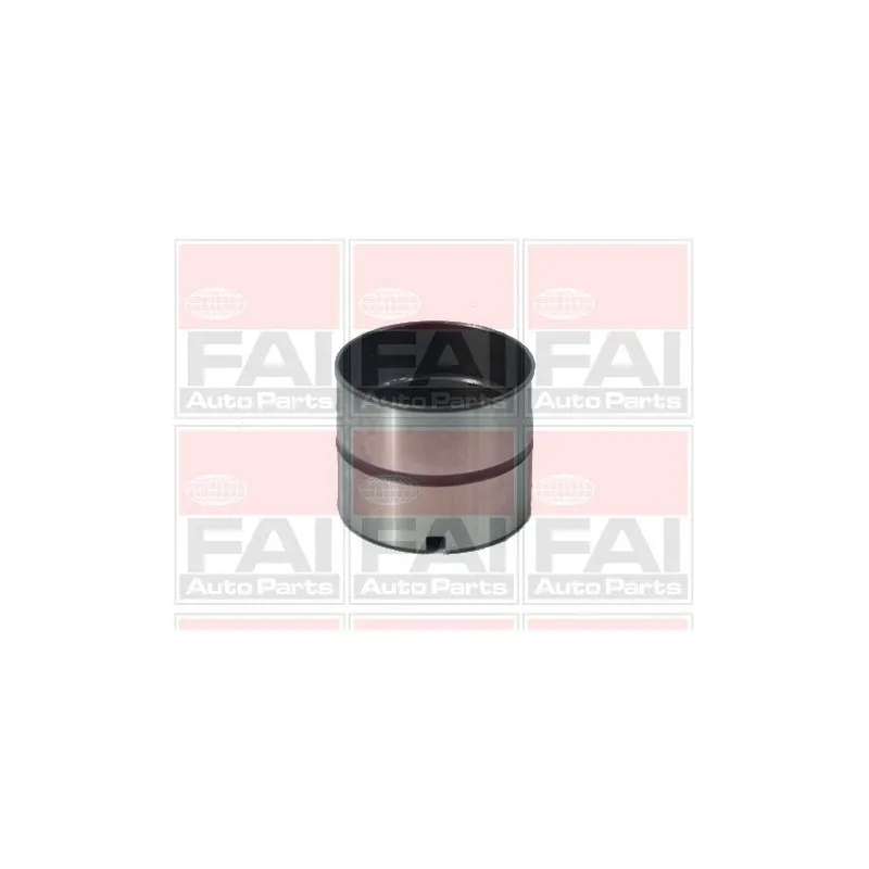 Poussoir de soupape FAI AutoParts BFS79