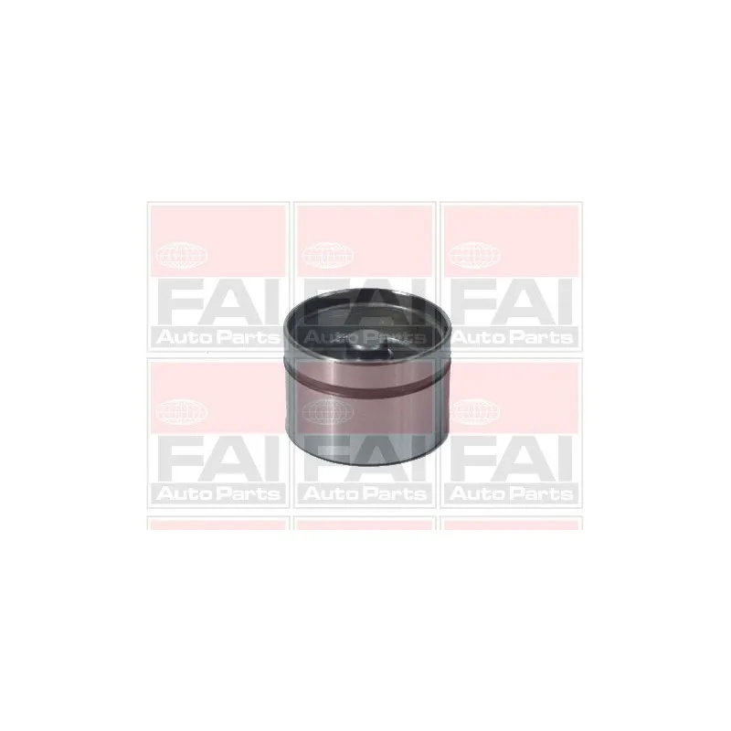 Poussoir de soupape FAI AutoParts BFS89