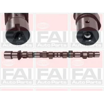Arbre à came FAI AutoParts C175