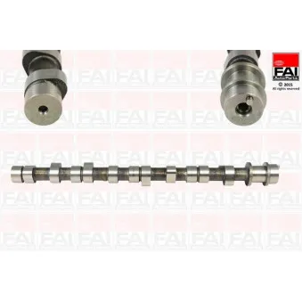 Arbre à came FAI AutoParts C217