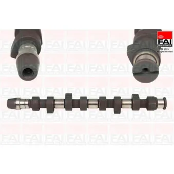 Arbre à came FAI AutoParts C241