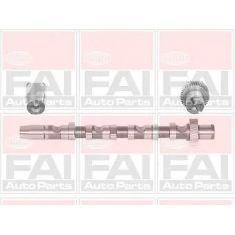 Arbre à came FAI AutoParts C244
