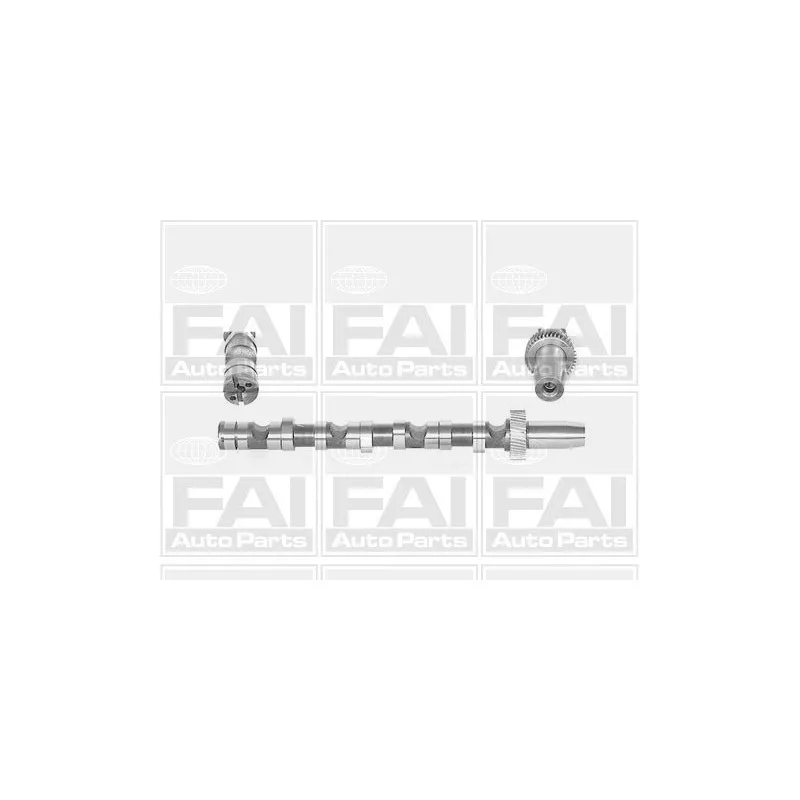 Arbre à came FAI AutoParts C245
