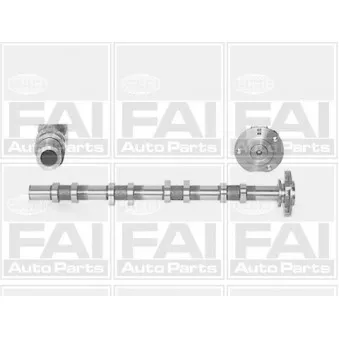 Arbre à came FAI AutoParts C252