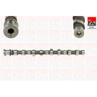 Arbre à came FAI AutoParts C288