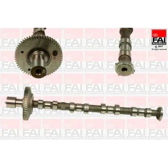 Arbre à came FAI AutoParts C308