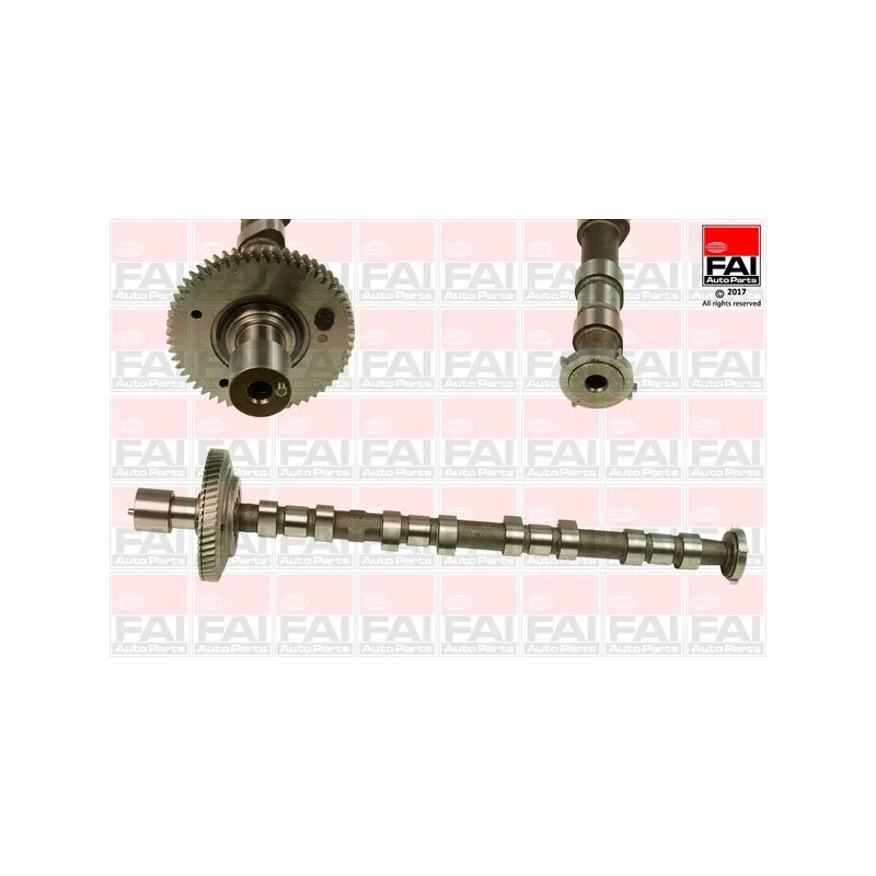 Arbre à came FAI AutoParts C308