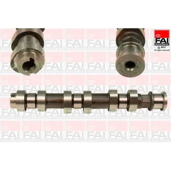 Arbre à came FAI AutoParts C318